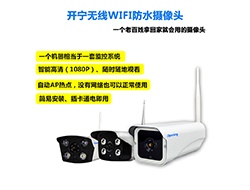 室外無線WIFI網(wǎng)絡(luò)攝像機系列2 （點擊進入大圖）