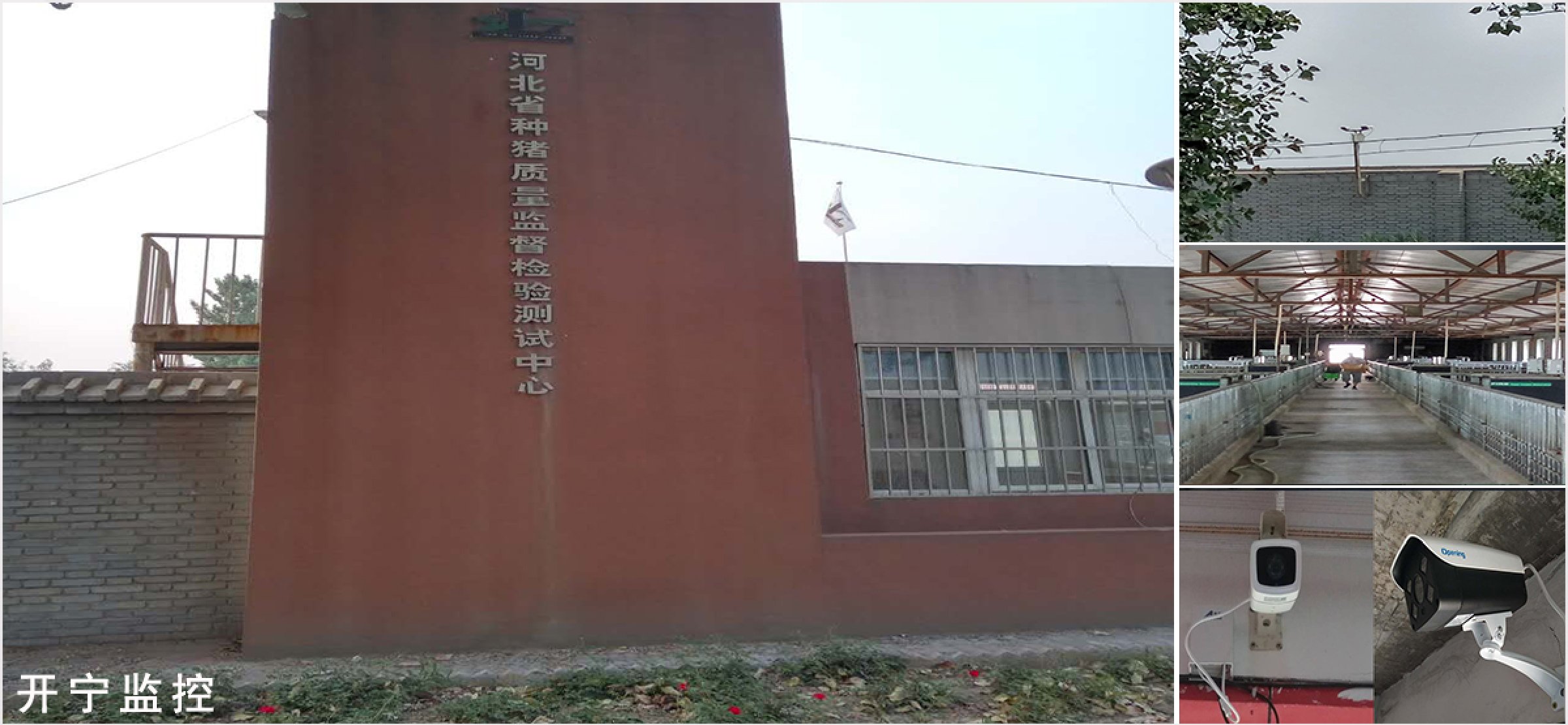 開寧養殖場監控案例